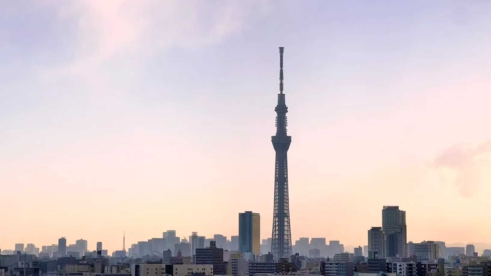 Shibuya Sky vs. Tokyo Skytree: Which Observatory Has the Best Views? (2026)